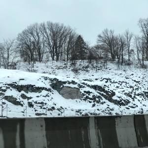 Meet your Posher, Desi